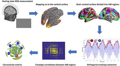 Functional Significance of Human Resting-State Networks Hubs Identified Using MEG During the Transition From Childhood to Adulthood